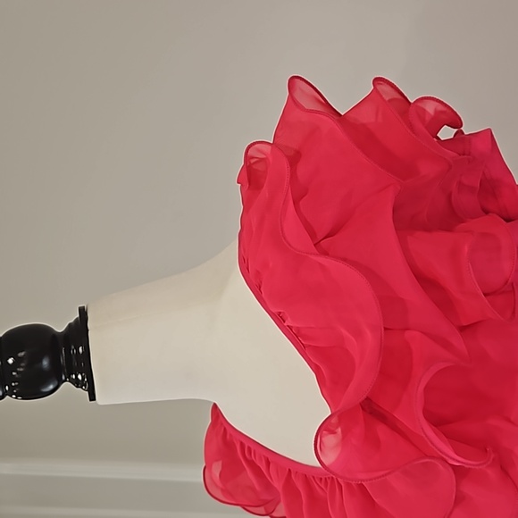 NWT Anna Bella Fuschia Pink Ruffle Blouse. LARGE. - Picture 2 of 7